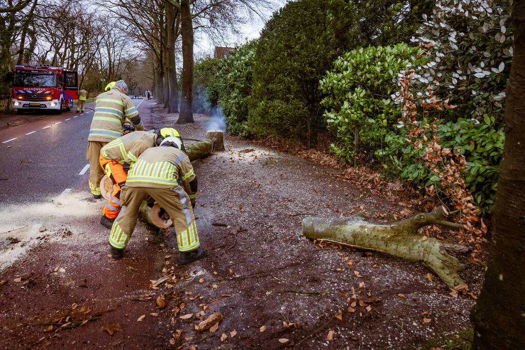 Boom in stukken gezaagd na brand