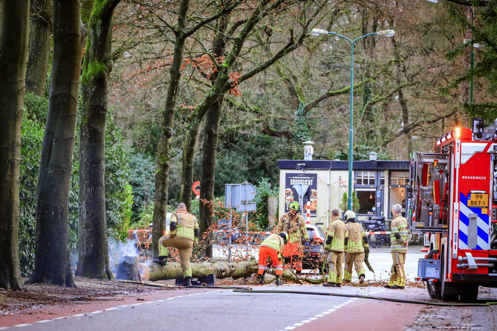 Boom in stukken gezaagd na brand