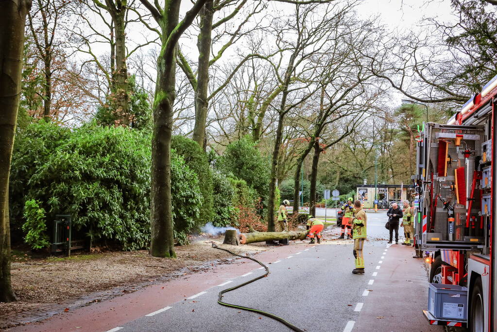 Boom in stukken gezaagd na brand