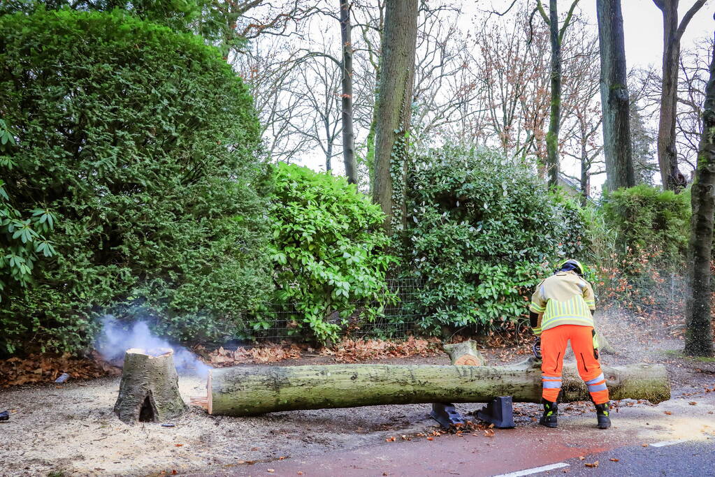 Boom in stukken gezaagd na brand