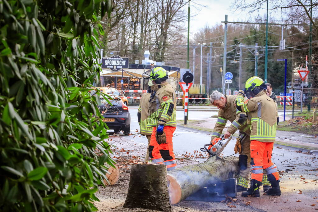 Boom in stukken gezaagd na brand