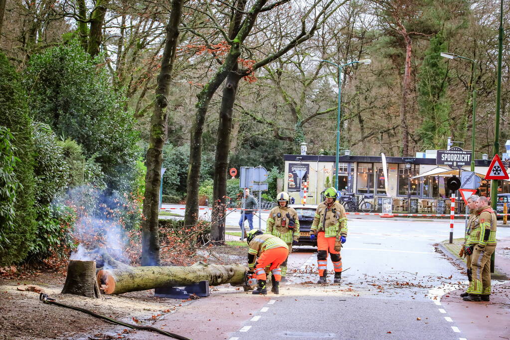 Boom in stukken gezaagd na brand