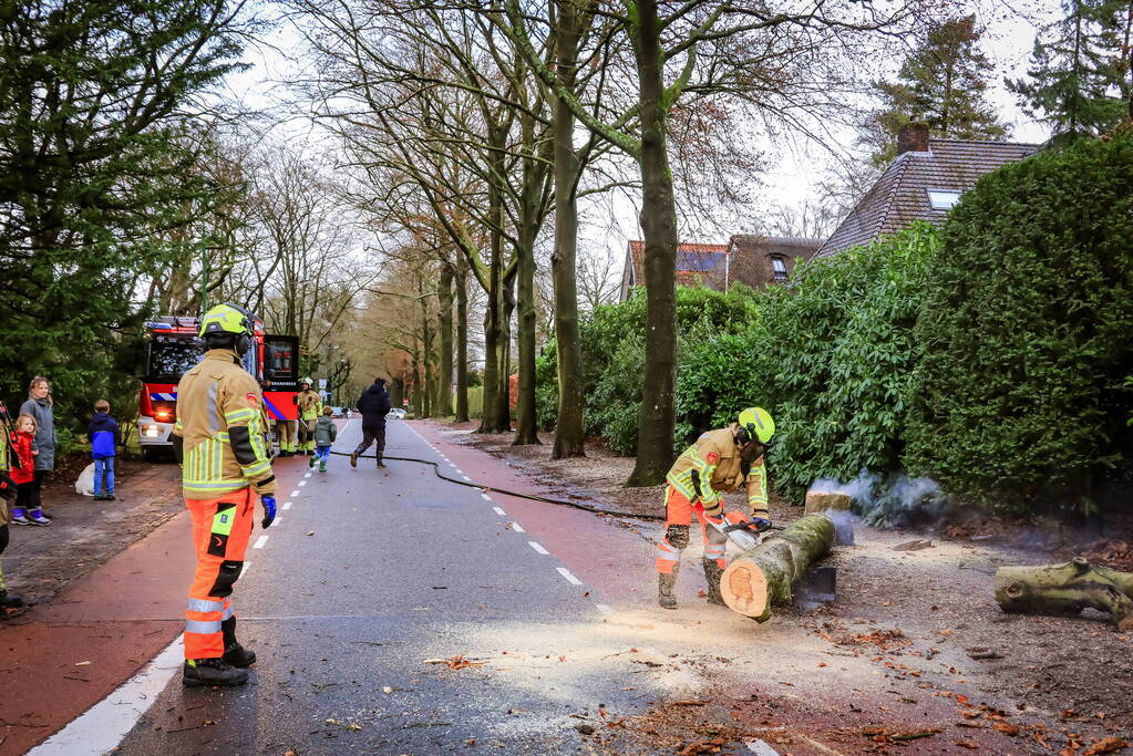 Boom in stukken gezaagd na brand