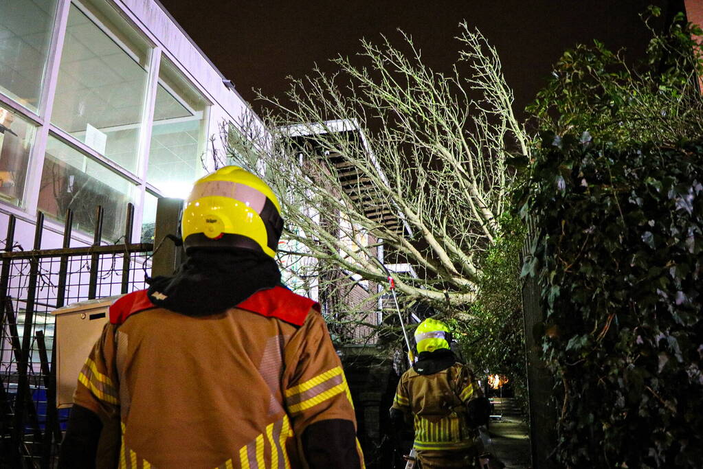 Boom valt tegen gebouw door harde wind