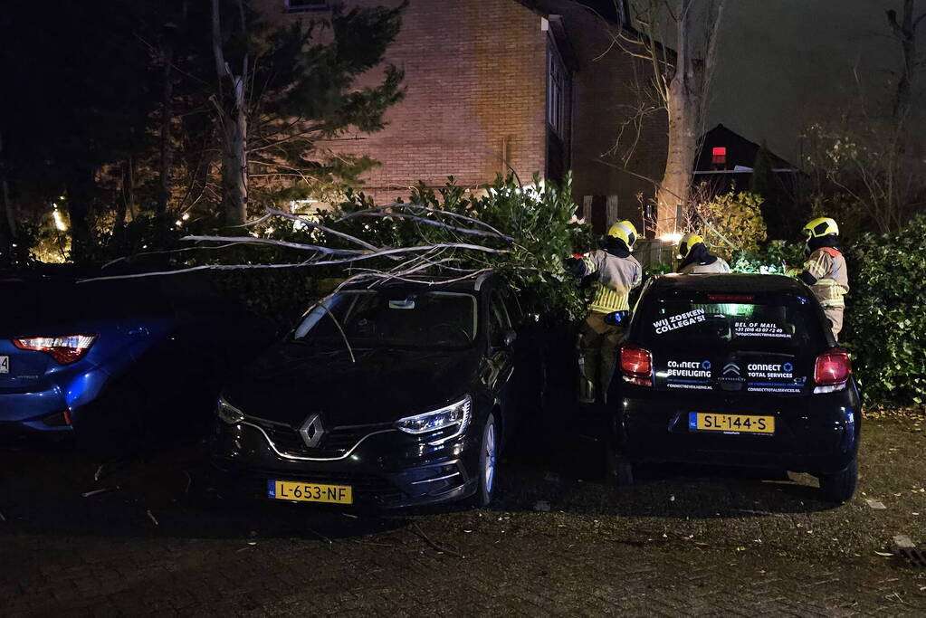 Boom belandt op geparkeerde auto