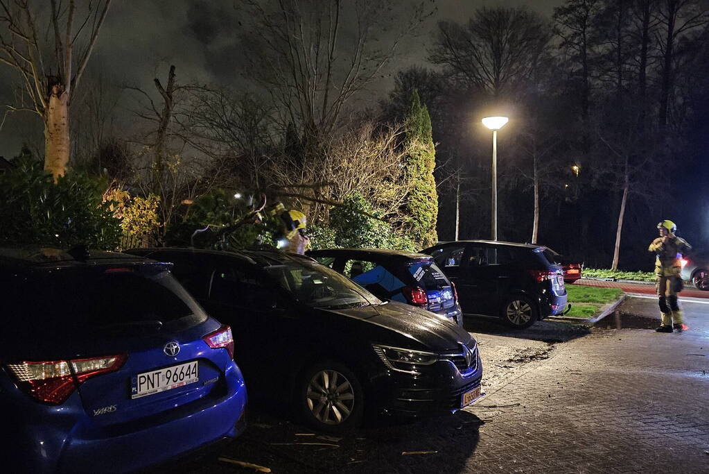 Boom belandt op geparkeerde auto