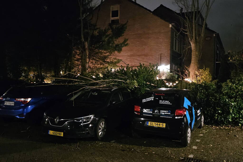 Boom belandt op geparkeerde auto