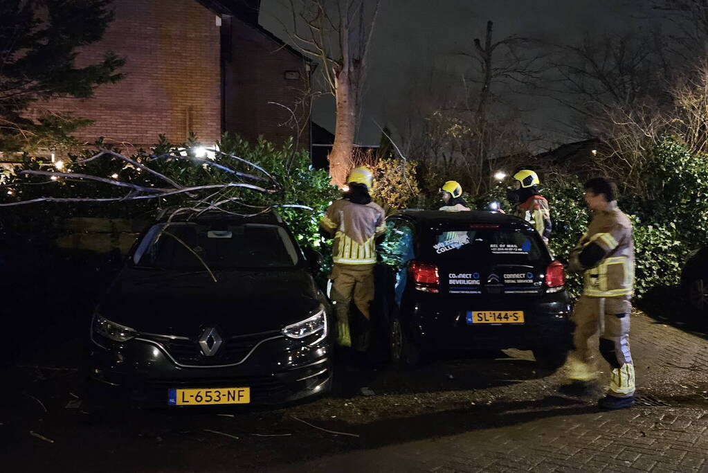 Boom belandt op geparkeerde auto