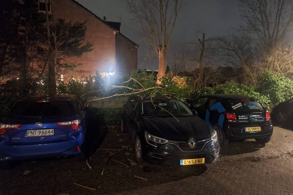 Boom belandt op geparkeerde auto