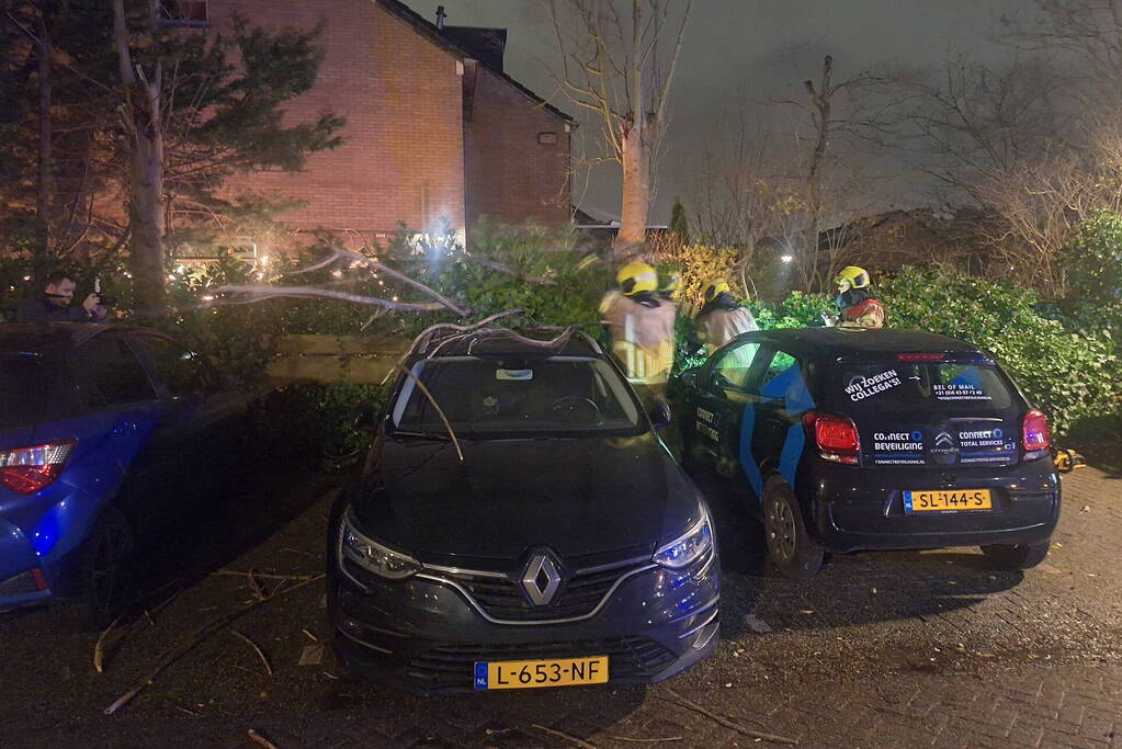 Boom belandt op geparkeerde auto