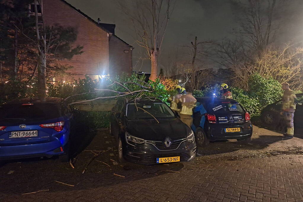 Boom belandt op geparkeerde auto