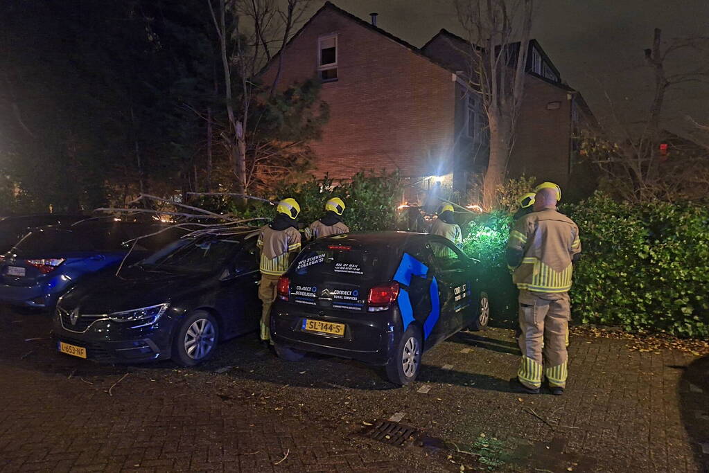 Boom belandt op geparkeerde auto