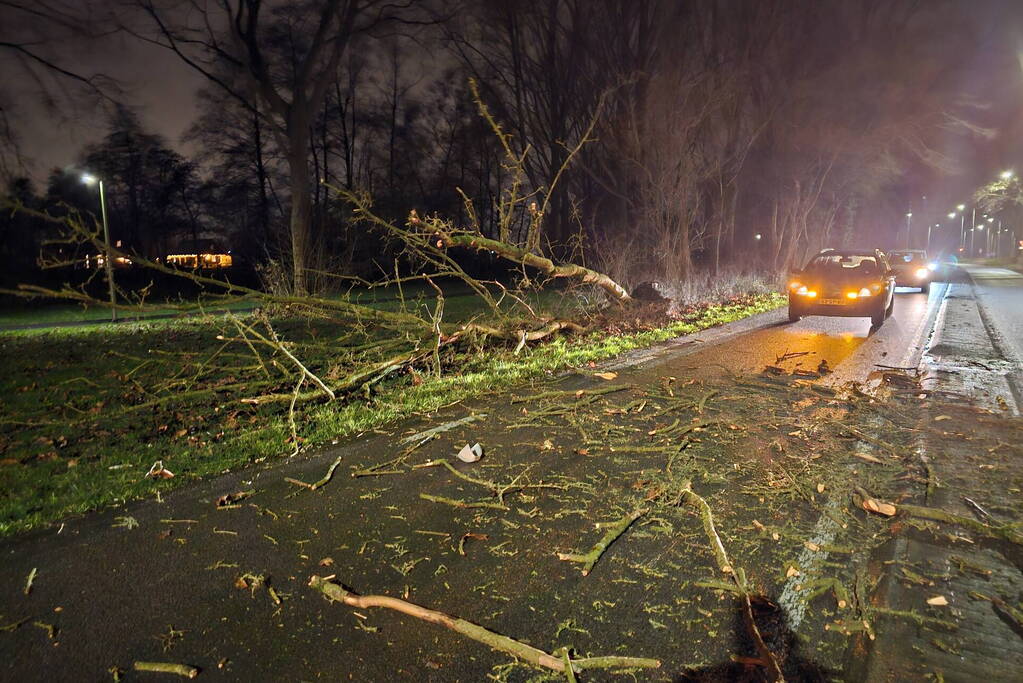 Auto zwaar beschadigd na vallende boom