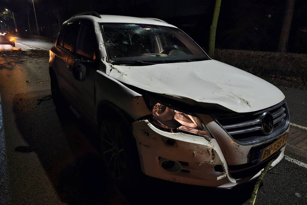 Auto zwaar beschadigd na vallende boom