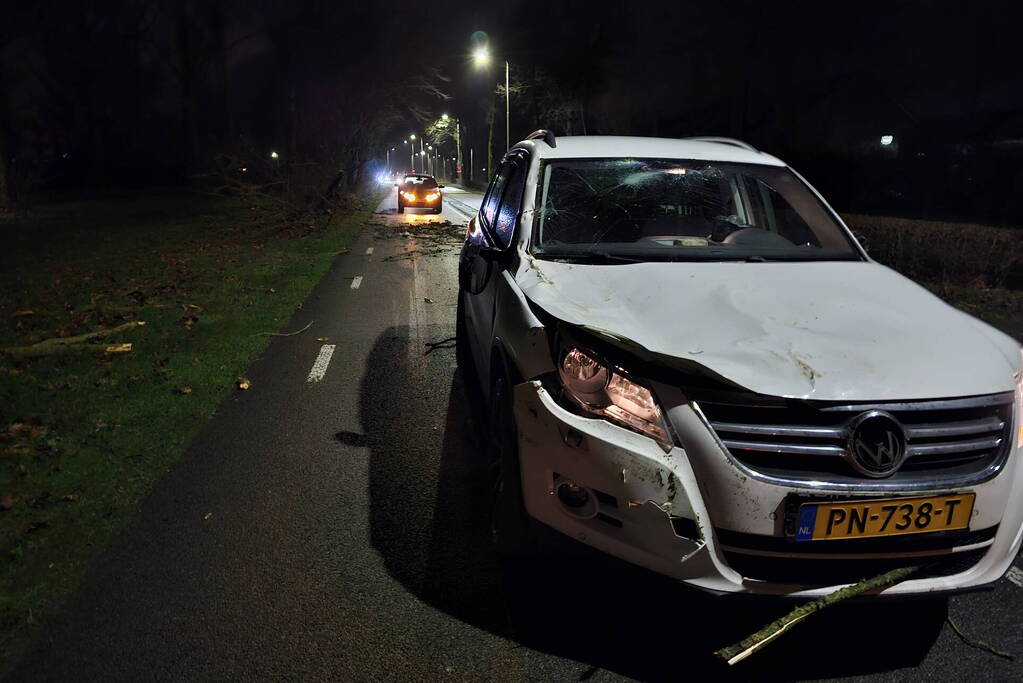 Auto zwaar beschadigd na vallende boom