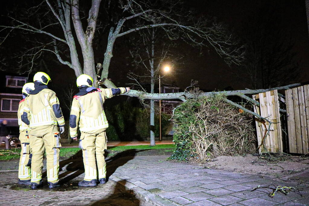 Grote tak breekt af en valt op schutting