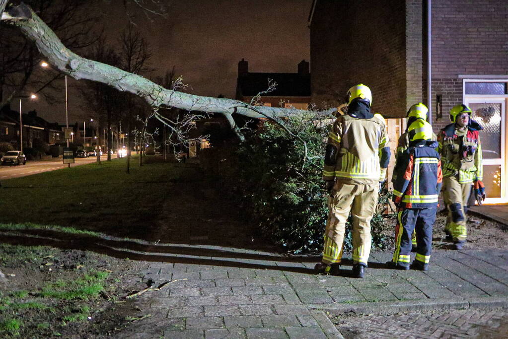 Grote tak breekt af en valt op schutting