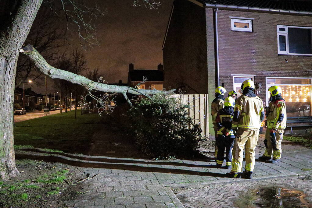 Grote tak breekt af en valt op schutting