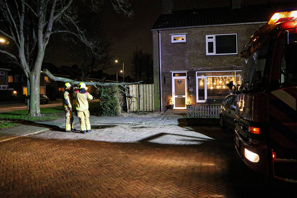 Grote tak breekt af en valt op schutting