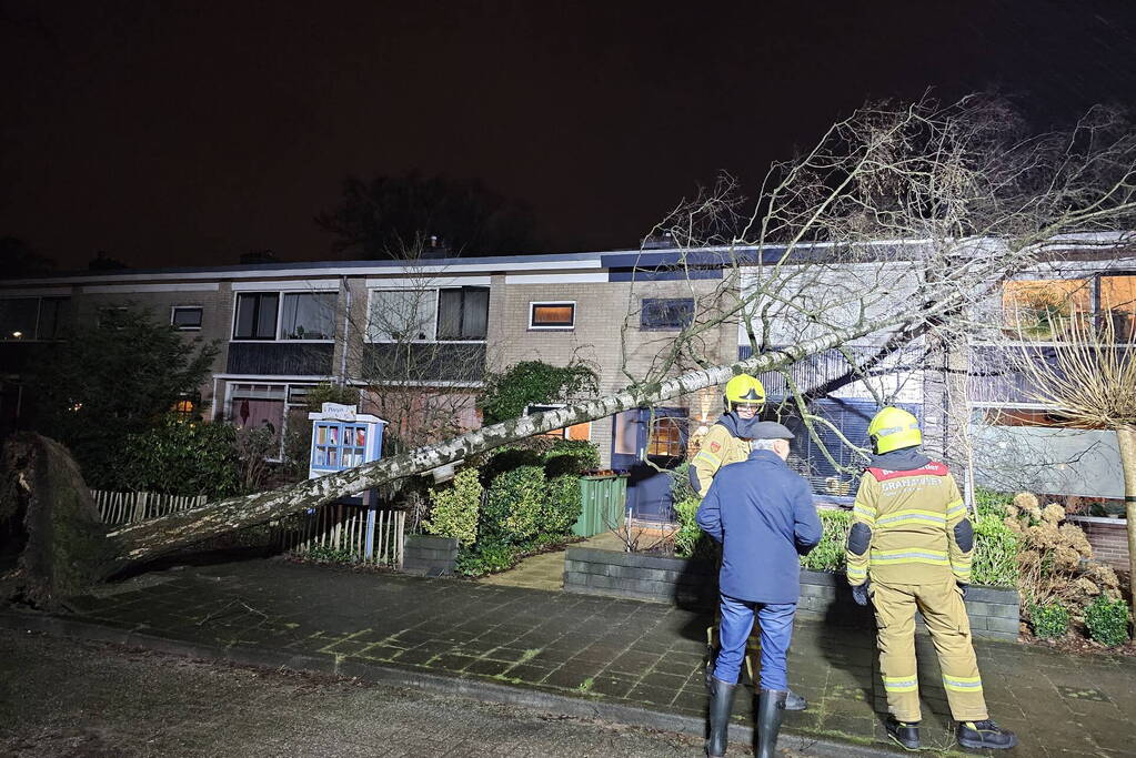 Grote boom waait om en belandt tegen woning