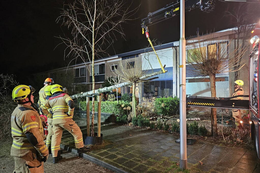 Grote boom waait om en belandt tegen woning