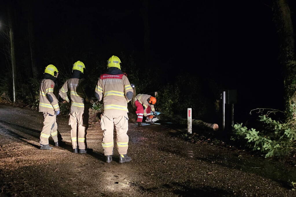 Brandweer verwijdert twee omgevallen bomen