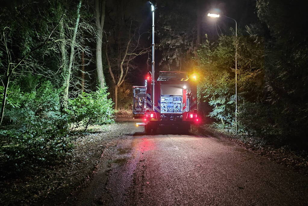 Brandweer verwijdert twee omgevallen bomen