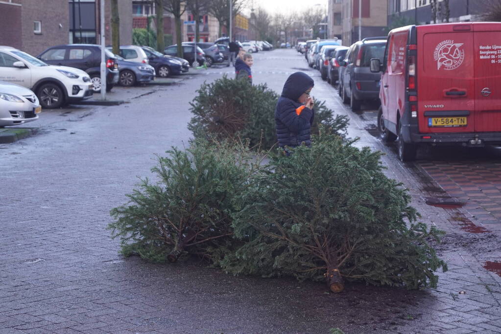 Kinderen verdienen geld met het inzamelen van kerstbomen