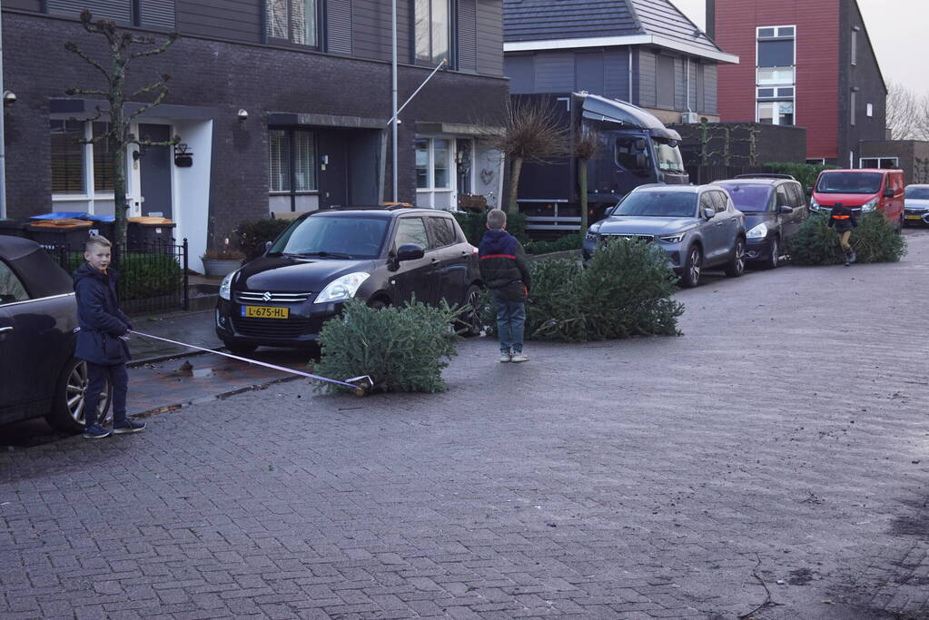 Kinderen verdienen geld met het inzamelen van kerstbomen