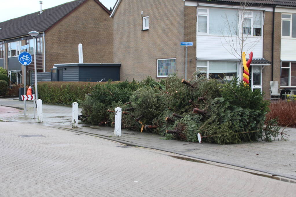 Kerstbomen ingezameld op 16 inzamellocaties