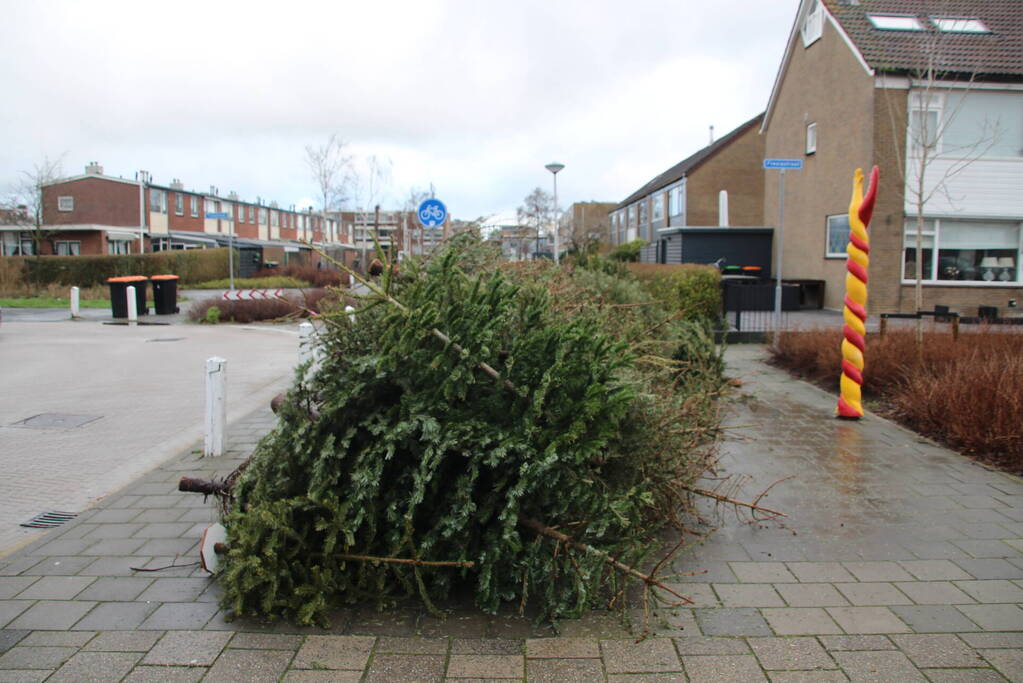 Kerstbomen ingezameld op 16 inzamellocaties