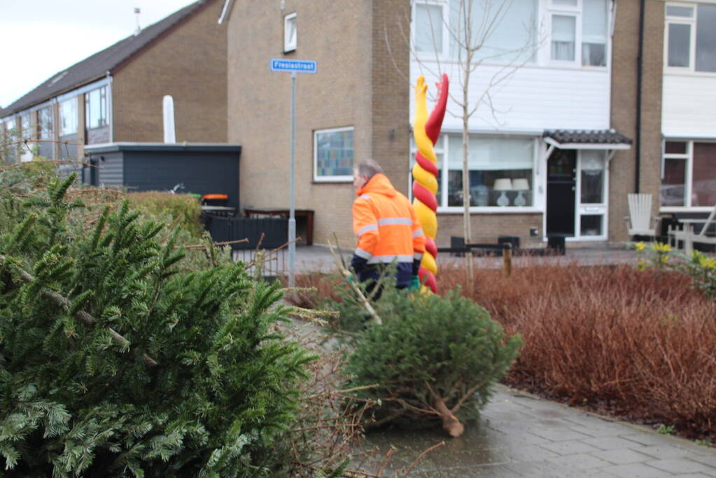 Kerstbomen ingezameld op 16 inzamellocaties