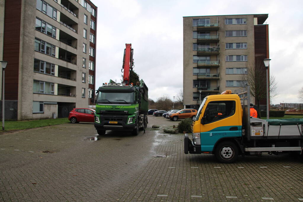 Kerstbomen ingezameld op 16 inzamellocaties