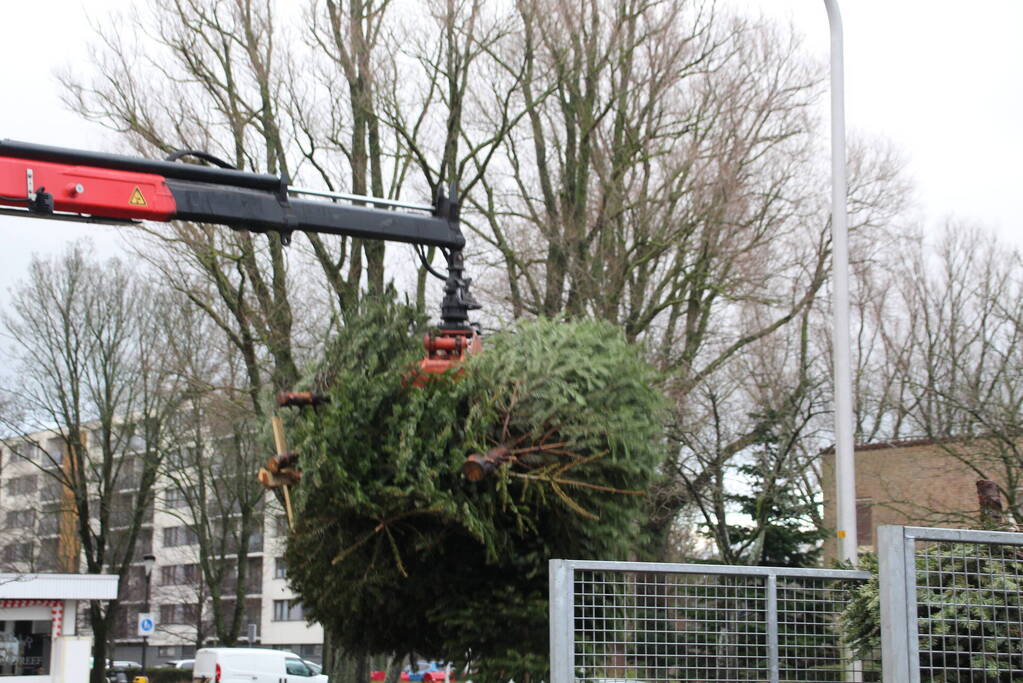 Kerstbomen ingezameld op 16 inzamellocaties