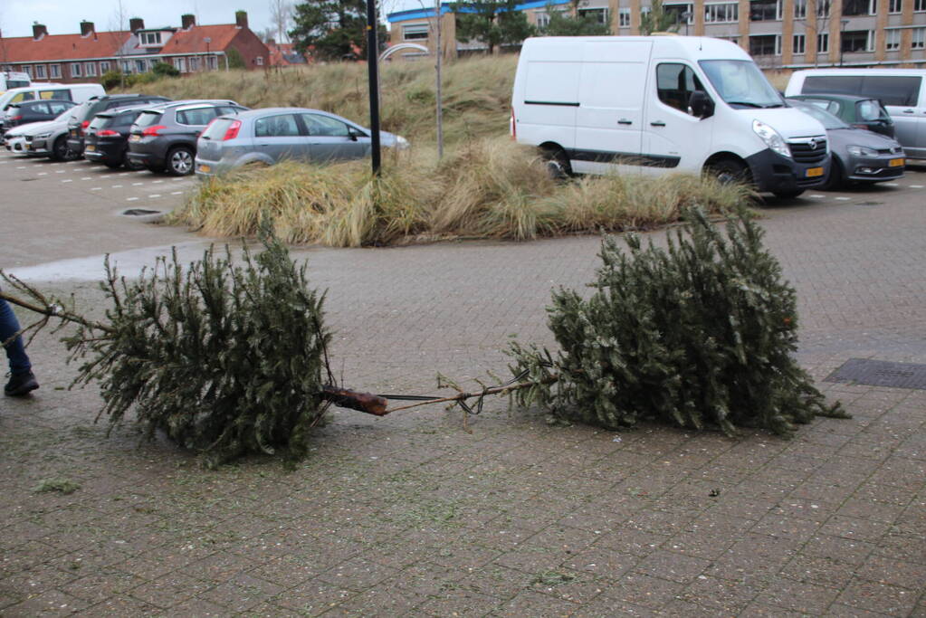 Kerstbomen ingezameld op 16 inzamellocaties