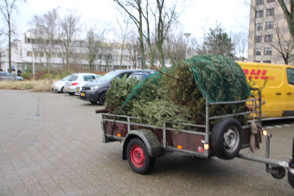 Kerstbomen ingezameld op 16 inzamellocaties