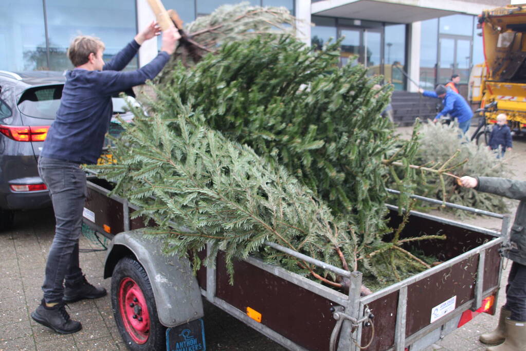 Kerstbomen ingezameld op 16 inzamellocaties