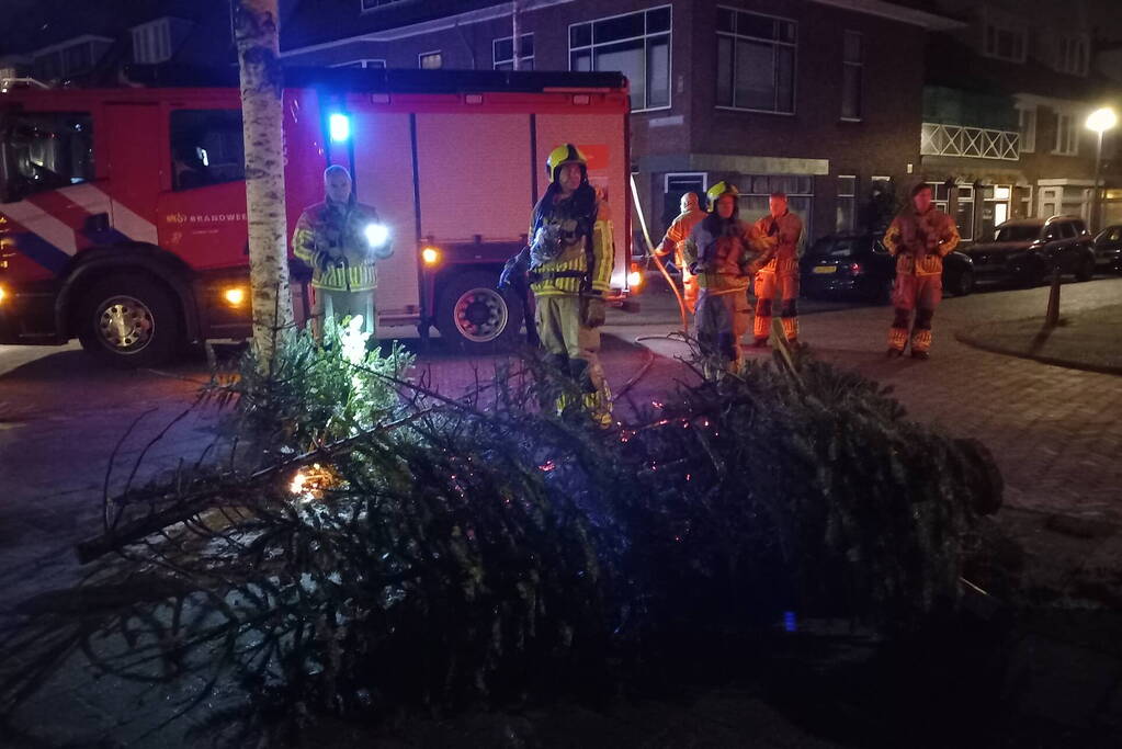 Brand in grote stapel kerstbomen