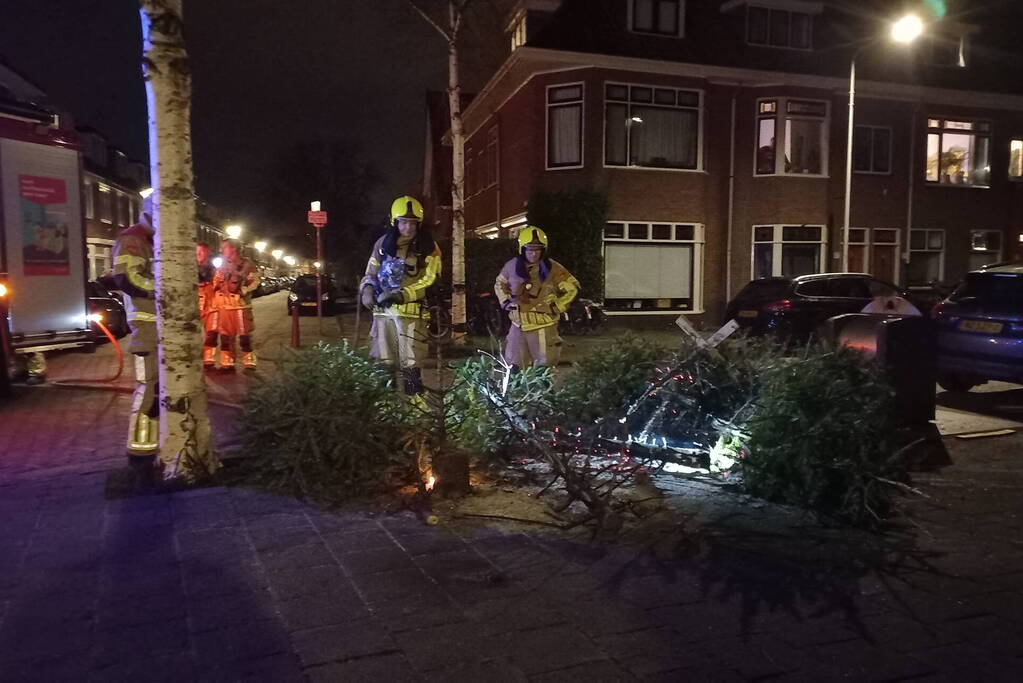 Brand in grote stapel kerstbomen