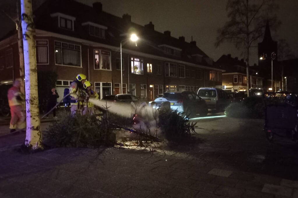 Brand in grote stapel kerstbomen