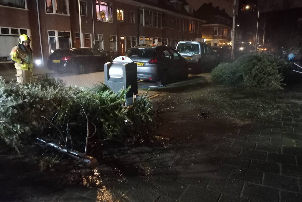 Brand in grote stapel kerstbomen