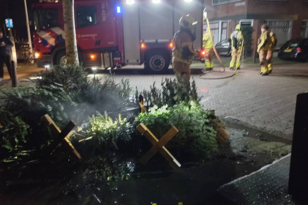 Brand in grote stapel kerstbomen