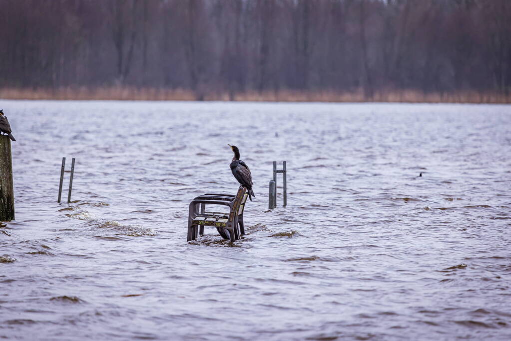 Hoogwater in de polder