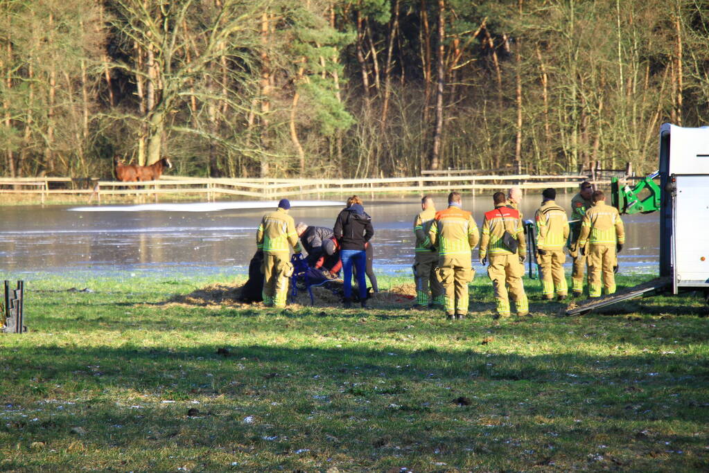 Brandweer ingezet voor een paard in nood