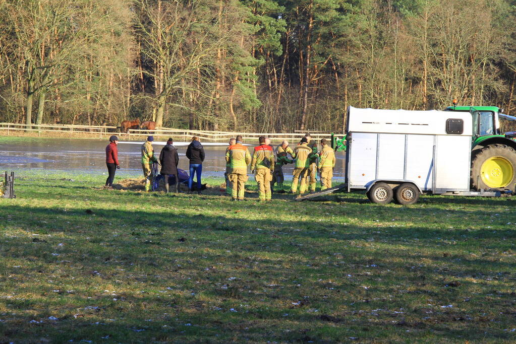 Brandweer ingezet voor een paard in nood