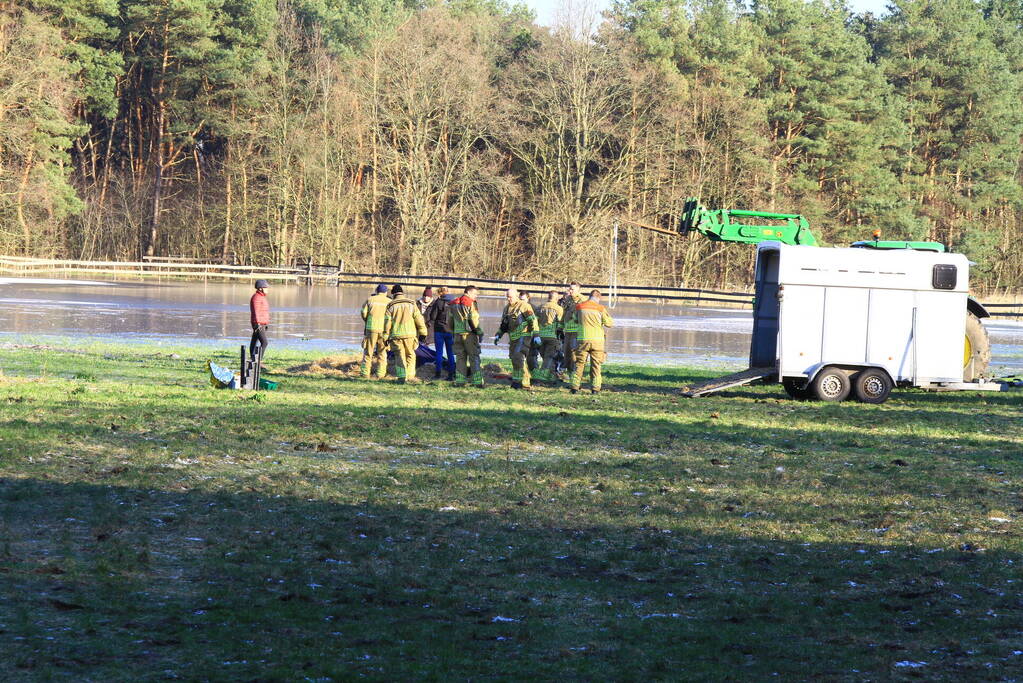 Brandweer ingezet voor een paard in nood