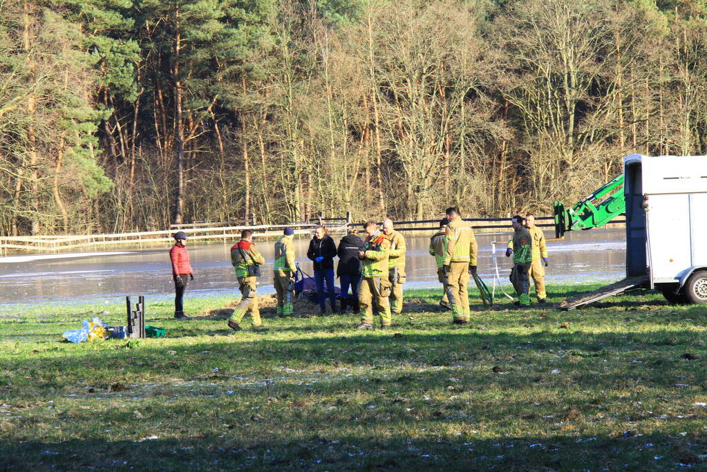 Brandweer ingezet voor een paard in nood