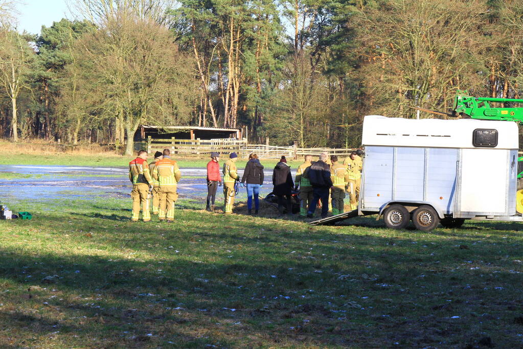 Brandweer ingezet voor een paard in nood