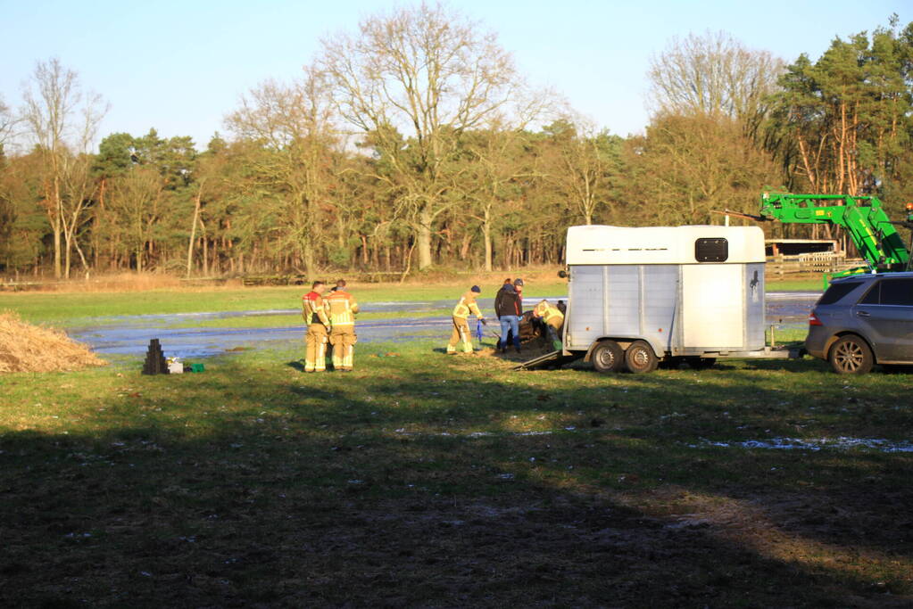 Brandweer ingezet voor een paard in nood