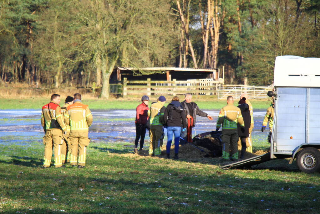 Brandweer ingezet voor een paard in nood